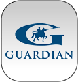 Guardian do Brasil Vidros Planos